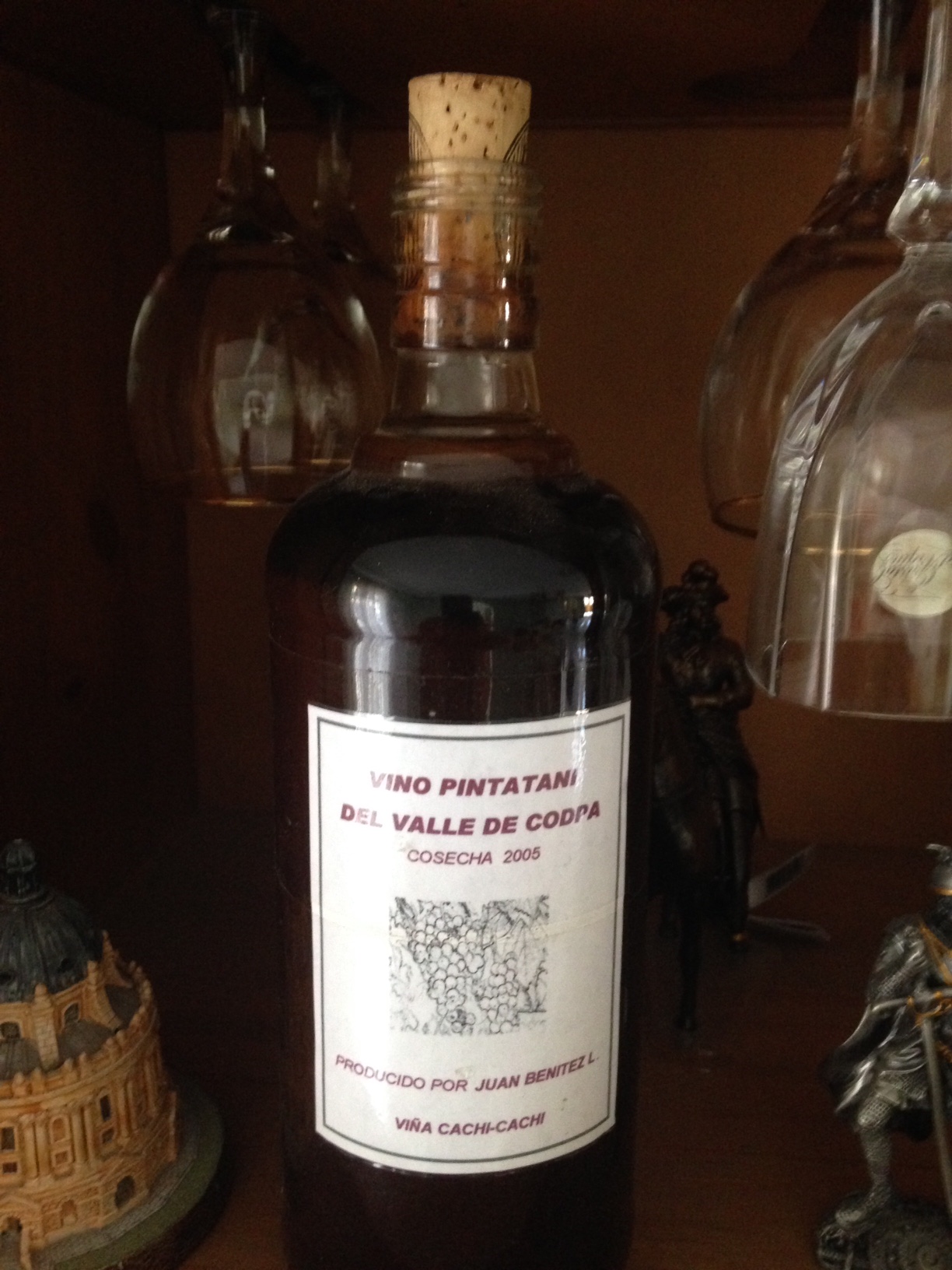 Vino Pintatani
